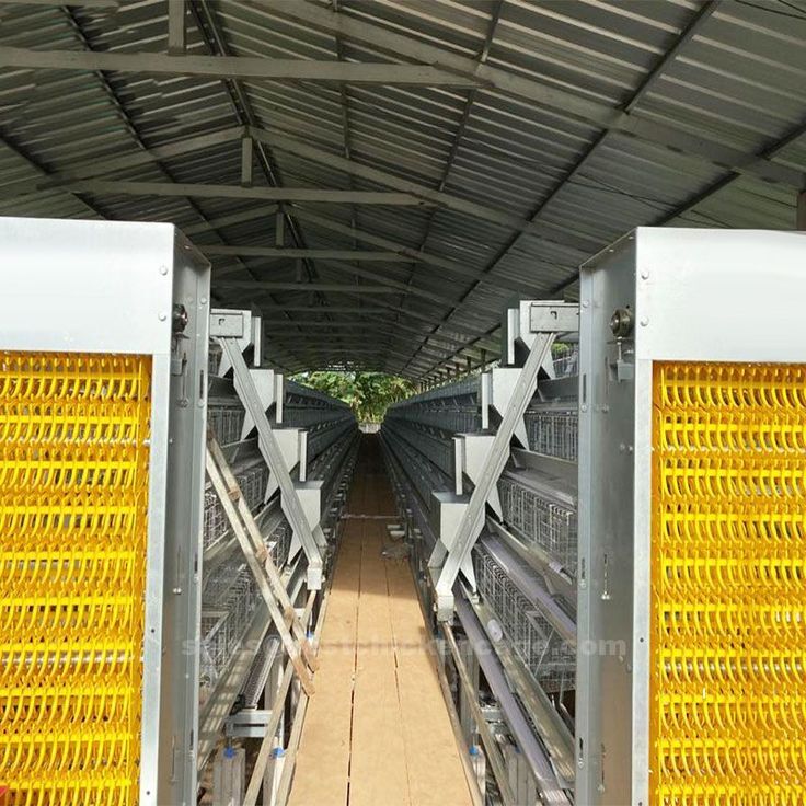 mesh battery layer chciken cage